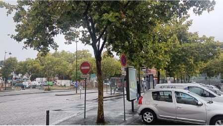 Végétalisation du pôle gare : quelles sont les espèces plantées ?